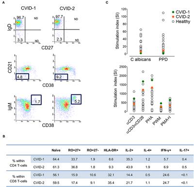 Monozygotic Twins Concordant for Common Variable Immunodeficiency: Strikingly Similar Clinical and Immune Profile Associated With a Polygenic Burden